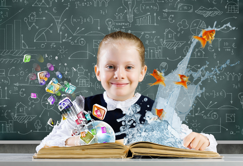 School education